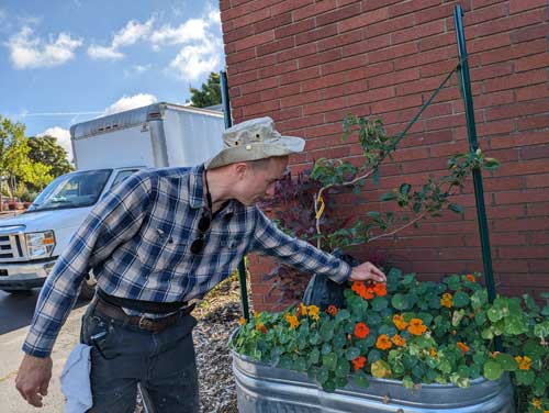 Chef Sonny checks the nastirtiums planted in galvanized stock tanks