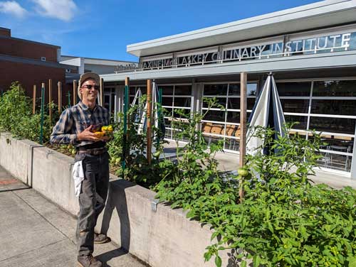 Chef Sonny harvests squash in the kitchen garden outside McClaskey Culinary Institute